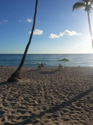 a beach with two palm trees and the ocean at Casa Madi in Bayahibe