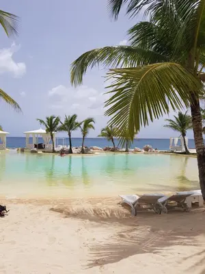 a pool on a beach with palm trees and the ocean at Casa Madi in Bayahibe