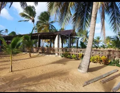 a building on the beach with a palm tree at Punta Cana Ecolodge In front of the beach Lavacama Costa Arrecife by BTC Crypto Group in El Eslabón