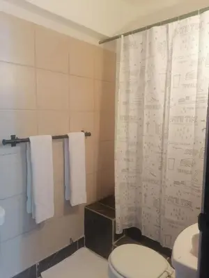 a bathroom with a toilet and a shower curtain at Tu espacio en zona colonial in Santo Domingo