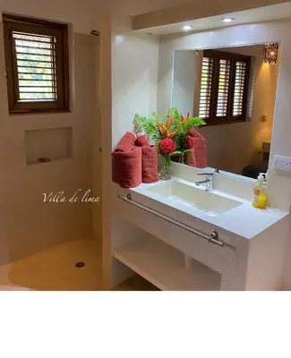 a bathroom with a sink and a mirror at Villa de Lima in Las Terrenas