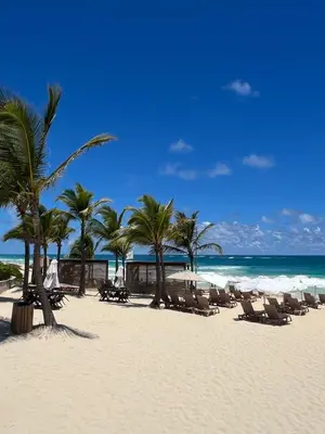 a beach with chairs and palm trees and the ocean at Canarock Beach Club in Punta Cana