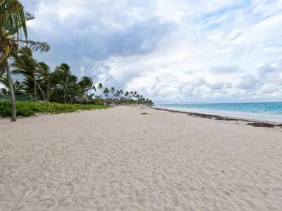 a sandy beach with palm trees and the ocean at Penthouse con picuzzi privado y barbacoa en Bávaro in Punta Cana