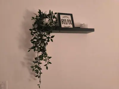 a shelf with a plant and a clock on a wall at Cana Esmeralda in Punta Cana