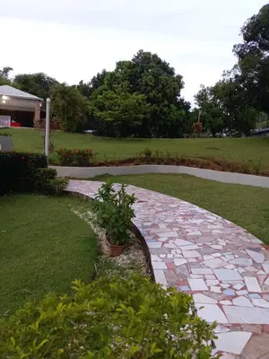 a stone walkway with a plant in a yard at Essential Life La Cuaba Casa de Campo Amenities in Pedro Brand