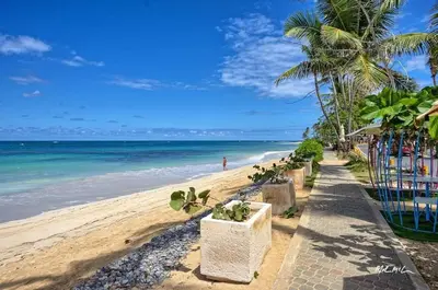 a sandy beach with palm trees and the ocean at Comfort one step away from the beach in Las Terrenas