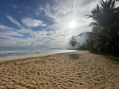 a sandy beach with palm trees and the ocean at Kaia Beach Lodge en Cosón in Las Terrenas