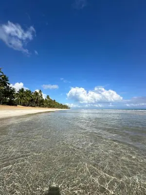 a beach with crystal clear water and palm trees at Kaia Beach Lodge en Cosón in Las Terrenas