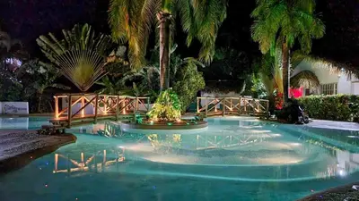 a swimming pool with palm trees in the night at Palmeras in Las Galeras