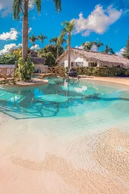 a swimming pool with blue water and palm trees at Palmeras in Las Galeras