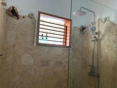 a bathroom with a shower with a window at Palmeras in Las Galeras