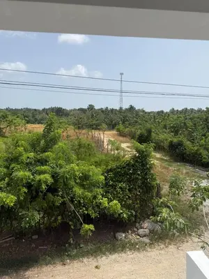 a dirt road with bushes and trees in a field at Aparta Estudio Disponible
