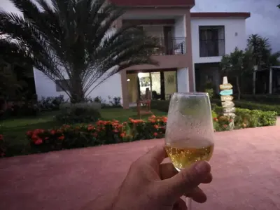 a person holding a glass of wine in front of a house at Villa Dupi in Colorado