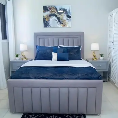 Luxury 2 bedroom Apartment