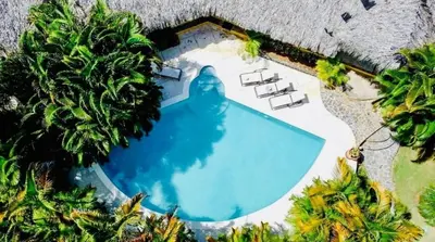 an overhead view of a swimming pool with palm trees at Villa à 250 mètres de la Mer in Las Terrenas
