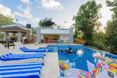 a pool with chairs and a dolphin in the water at VILLA LEMON Samaná in El Limón