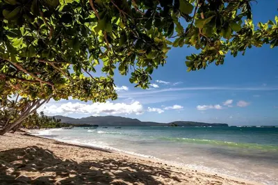 a view of a beach with trees and the ocean at Coco's Apartment near La Playita beach in Las Galeras