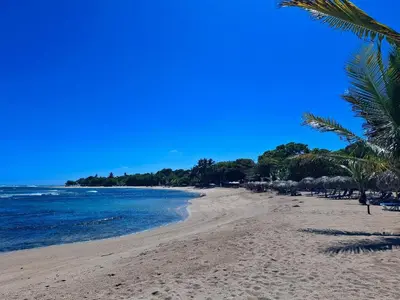 a beach with palm trees and the ocean on a sunny day at 2-Bedroom Beach Apartment with Pool Costambar in San Felipe de Puerto Plata