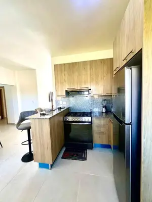 a kitchen with wooden cabinets and a black refrigerator at Armonía apartment in Las Terrenas