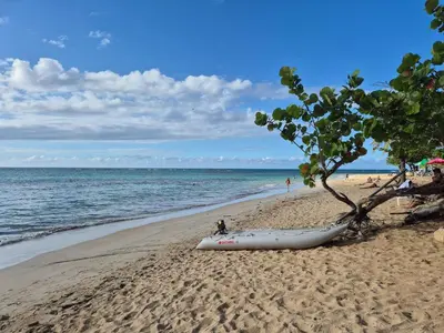a kayak on a beach with a tree and the ocean at Punta Popy 3BR Duplex with Pool, Walk to Beach in Las Terrenas
