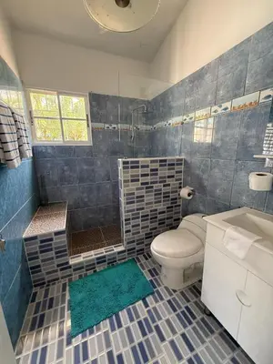 a bathroom with a toilet and a shower and a sink at Villa Las Tortugas # 2 in Sousa in Sosúa