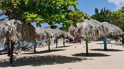 a beach with some straw umbrellas on the sand at CortLang Vacation Rentals, Costambar in San Felipe de Puerto Plata