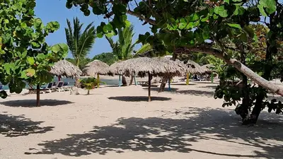 a beach with straw umbrellas and chairs on the sand at CortLang Vacation Rentals, Costambar in San Felipe de Puerto Plata