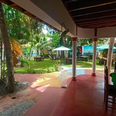 a patio with tables and umbrellas in a park at El jardín del coco in Las Galeras