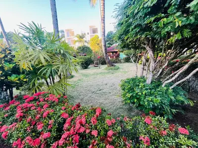 a garden with pink flowers and palm trees at Hotel palococo in Las Terrenas