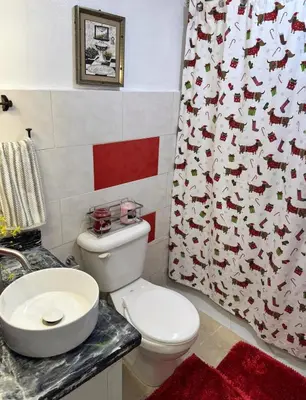 a bathroom with a toilet and a shower curtain at enjoy the nature of the countryside in Bonao