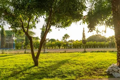 a group of trees in a grassy field at Terrenal Paradise in Esperanza