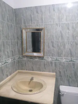 a bathroom with a sink and a mirror and a toilet at SML Garden Apartament in La Romana