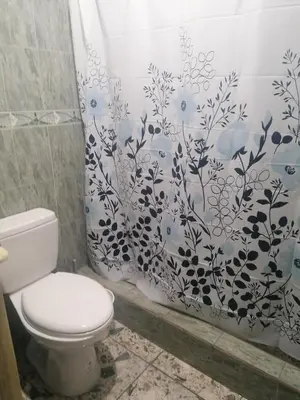 a bathroom with a toilet and a shower curtain at SML Garden Apartament in La Romana