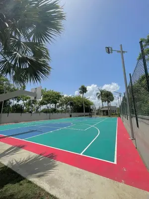a tennis court with a palm tree next to it at Moderno y amplio apartamento en Santiago in Carlos Guerra
