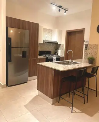 a kitchen with a counter with a sink and a refrigerator at Apto céntrico con piscina, gym y una hermosa vista a la ciudad in Santo Domingo