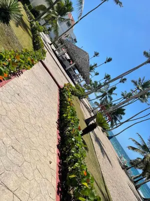a retaining wall with plants and palm trees at Vista marina apartment in Villas del Mar