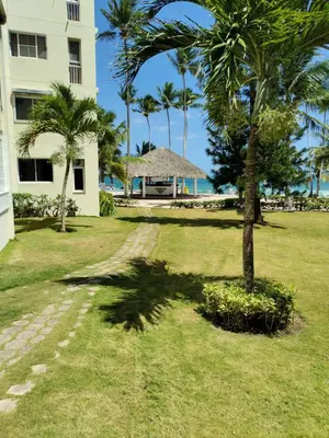 a palm tree in the grass next to a building at Vista marina apartment in Villas del Mar