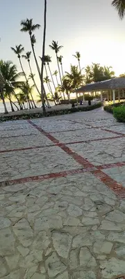 a stone walkway with palm trees on a beach at Vista marina apartment in Villas del Mar