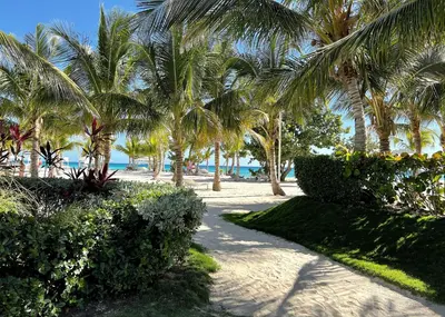 a pathway with palm trees on a beach at Tropical Escape with 3 Pools & Private Beach Club Aqua Esmeralda in La Laguna