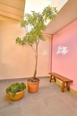 a small tree in a pot next to a bench at ®{Tulum~Experience}@Downtown PoolViewPenthouse in Santo Domingo