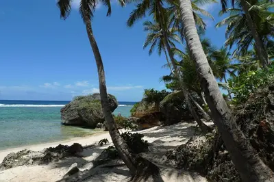 a beach with palm trees and the ocean at Apart-Hotel Garden Villa in Las Galeras