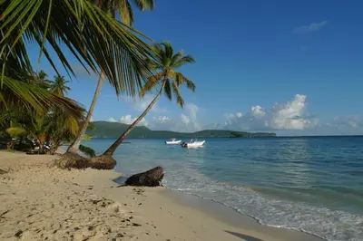 a beach with two palm trees and a boat in the water at Apart-Hotel Garden Villa in Las Galeras