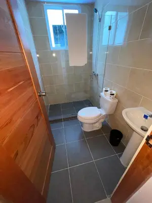 a bathroom with a toilet and a shower and a sink at Comodo apartamento en Boca Chica SDQ AILA in El Higo
