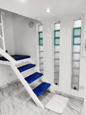 a white and blue staircase in a room with windows at Hostel capicua in Punta Cana