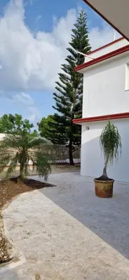 a plant in a pot next to a building at Casa Perez CCC in Juan Dolio