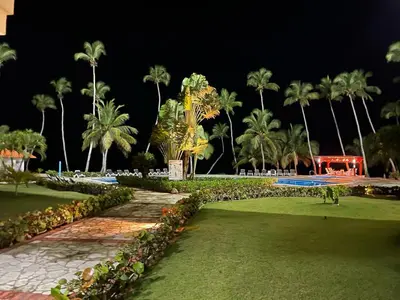 a park at night with palm trees and grass at Vista palmera in Juan Pedro