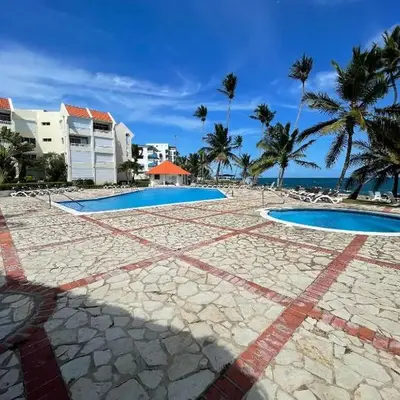 Vista palmera