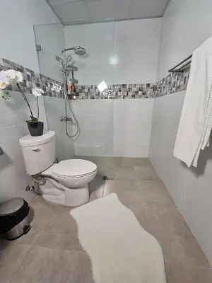 a white bathroom with a toilet and a shower at Luxury apartment in Santo Domingo Este in Juan López