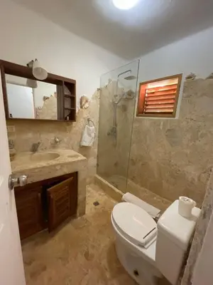 a bathroom with a toilet and a shower and a sink at Guest-Room 1 Palmeras - 3 Pax, 5 Min de La Playa in Las Galeras