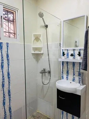 a bathroom with a shower and a sink at De pina apartaestudio in Santiago de los Caballeros